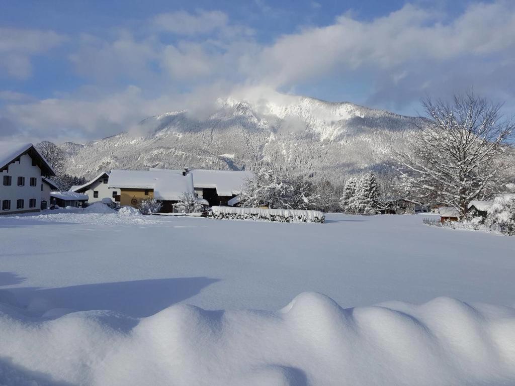 Chiemgauferienwohnungen - Wanderlust Und Alpenrose Unterwoessen Ngoại thất bức ảnh